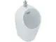 Weißes Urinal von Ideal Standard ohne Spülrand, mit Zulauf von oben, ovaler Form und einem runden Abflussgitter im Inneren.
